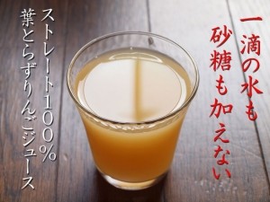 【青森】「青森県ゴールド農園」ストレートりんごジュース