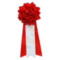 【選挙】花徽章（リボンバラ）